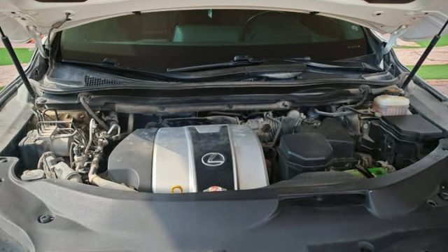IMG-20250404-WA0022